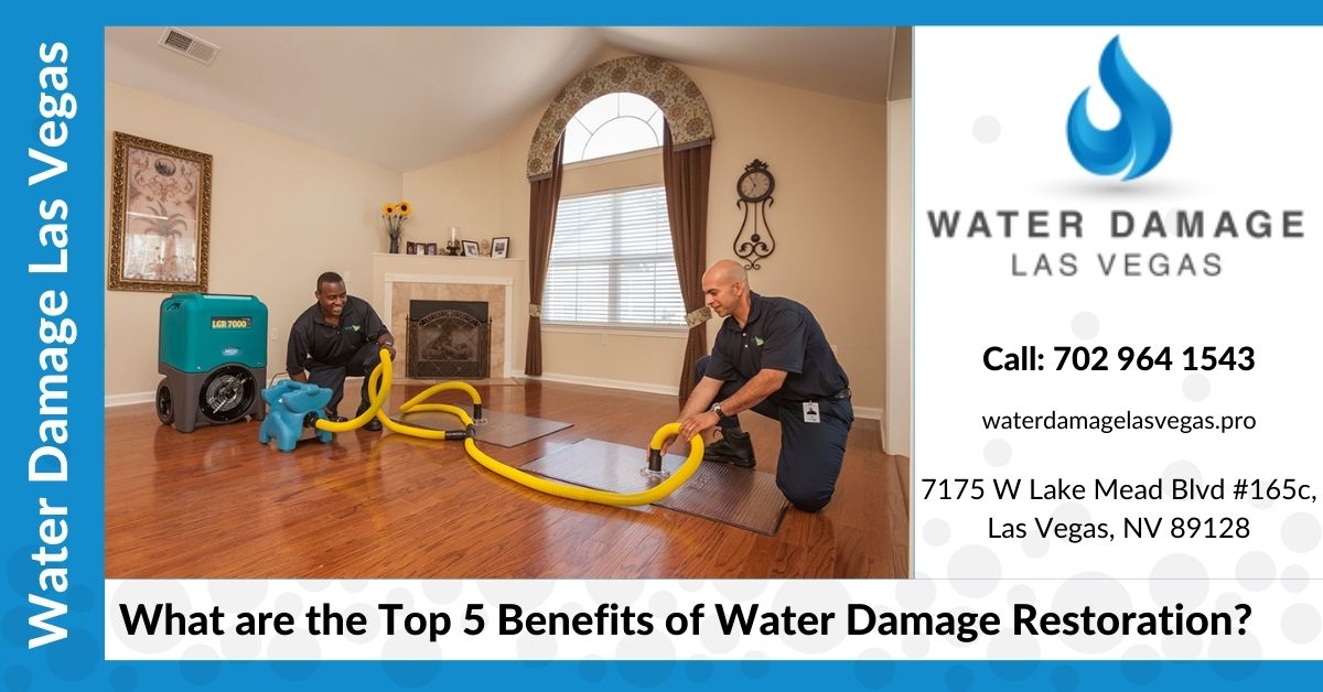 What are the Top 5 Benefits of Water Damage Restoration