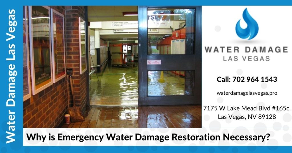 Why is Emergency Water Damage Restoration Necessary